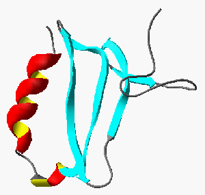 Structure of the C-terminal domain of IGFBP-6