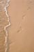 footprints