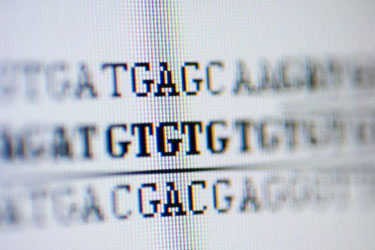 DNA Code