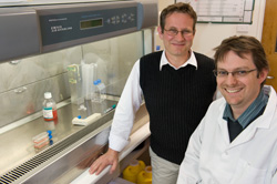 Lab head, Associate Professor Tony Tiganis (left) with lead author, Dr Ben Shields (right)