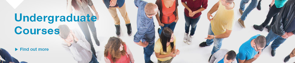 Undergraduate Courses